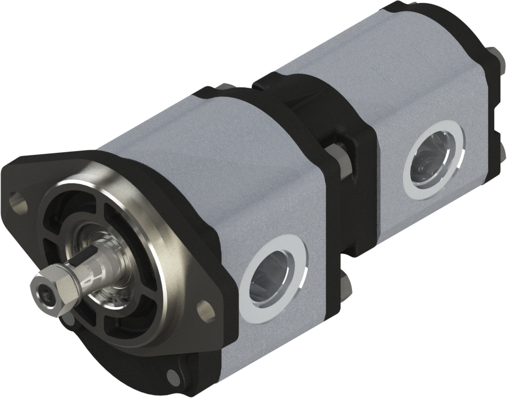 Medal - 0170190002 17102019022