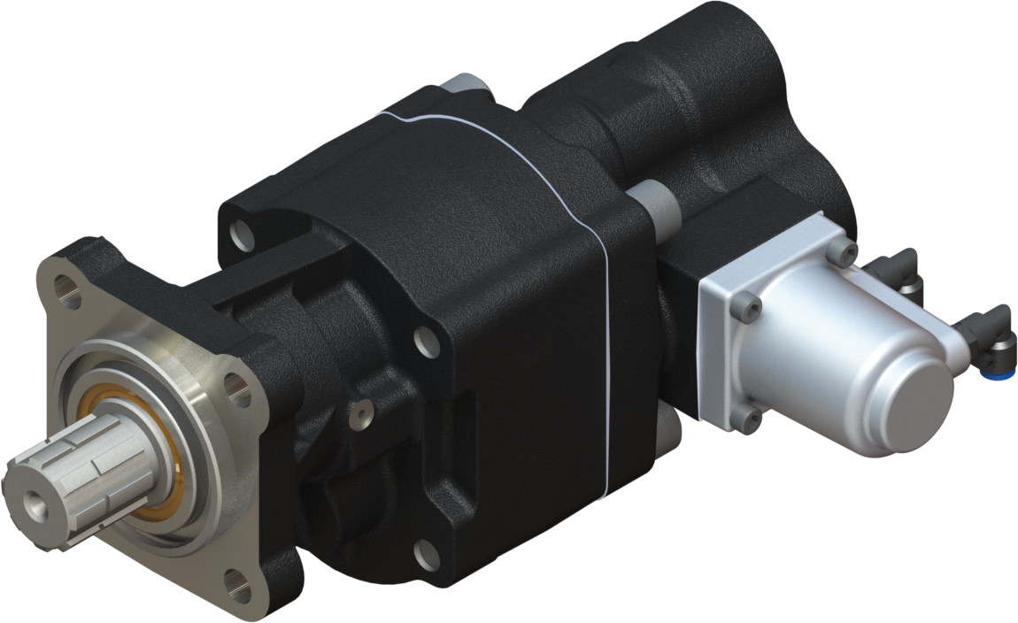 Produtos Medal 19339068C