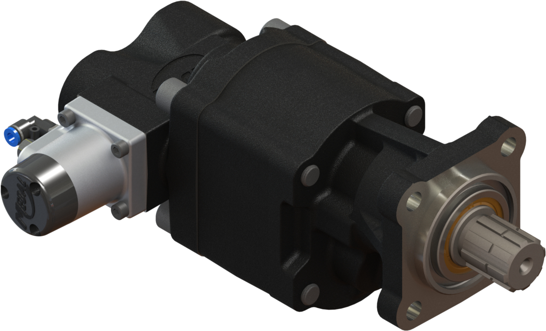 Produtos Medal 19329085A