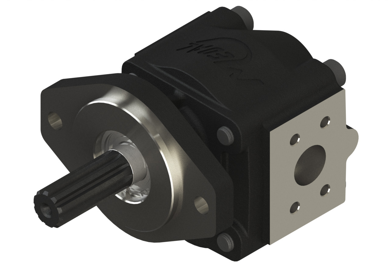 Produtos Medal B75211181B