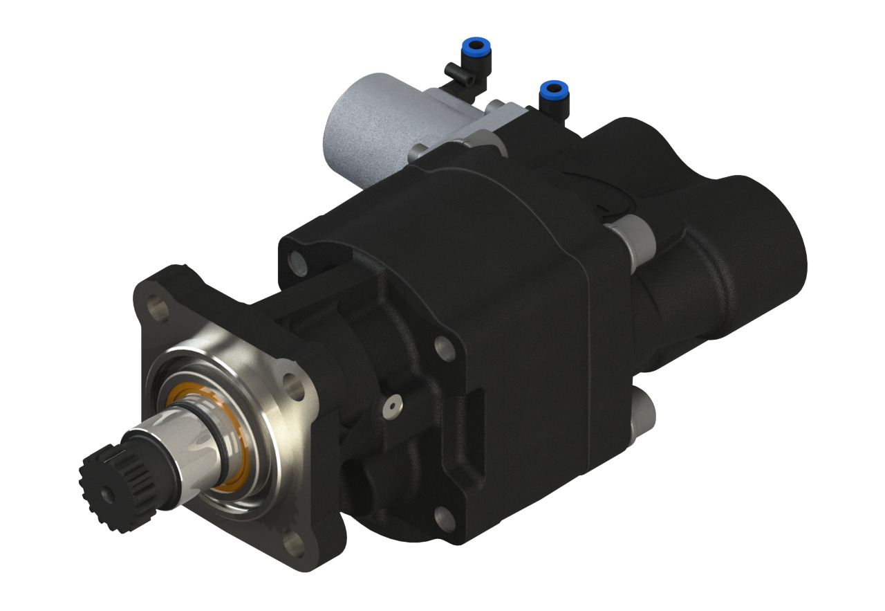 Produtos Medal B19334068A